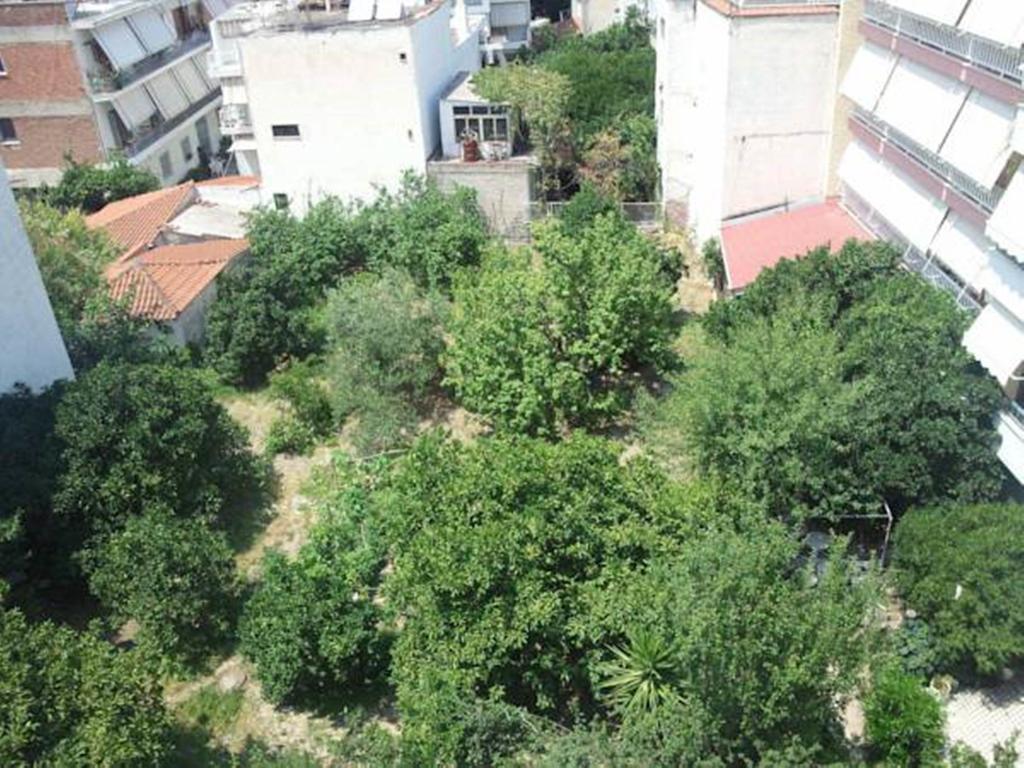 Foivos Hotel Loutra Edipsou  Kamer foto